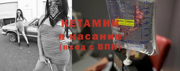 шишки Магас