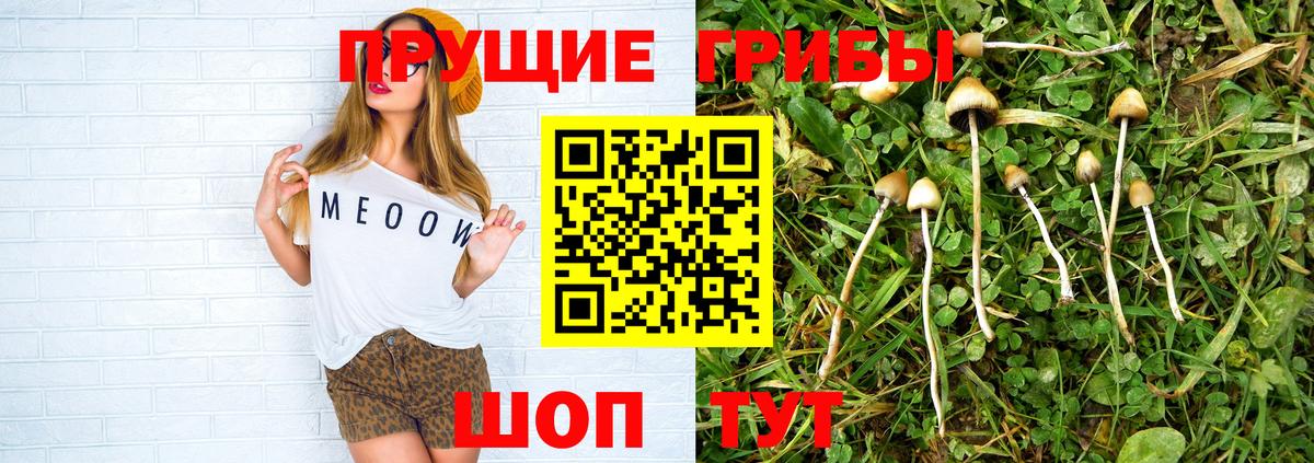 Галлюциногенные грибы Psilocybe  Вход с VPN  Галлюциногенные грибы прущие грибы  Ухта 