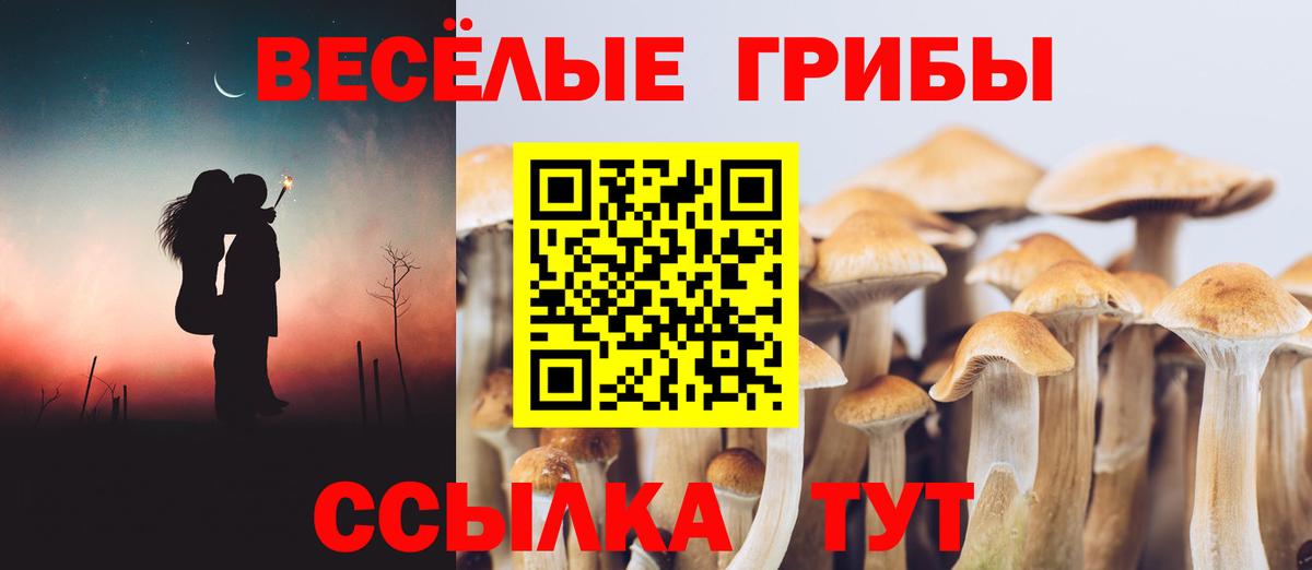 Галлюциногенные грибы MAGIC MUSHROOMS Ухта